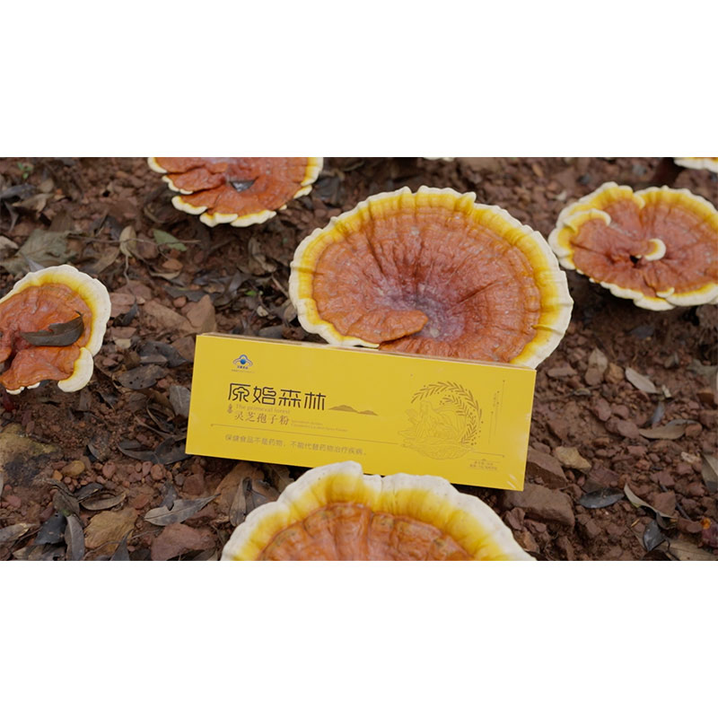 濟佰川靈芝孢子粉